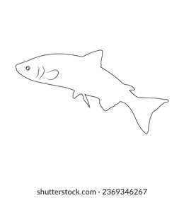 diseño de ilustraciones vectoriales con icono de salmón