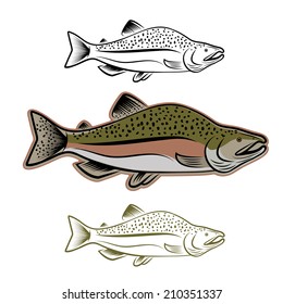 Salmon Fish Illustration Set Stock Vector (Royalty Free) 210351337 ...