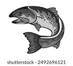 Salmon fish jumping out from the water. Isolated logo vector.	