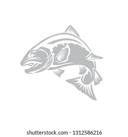salmon fish jumping out of water