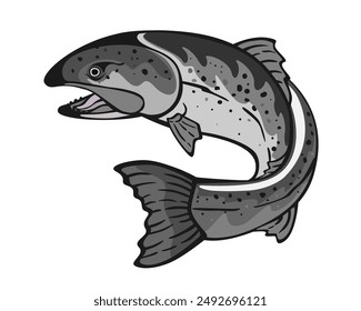 Salmon fish jumping out from the water. Isolated logo vector.	