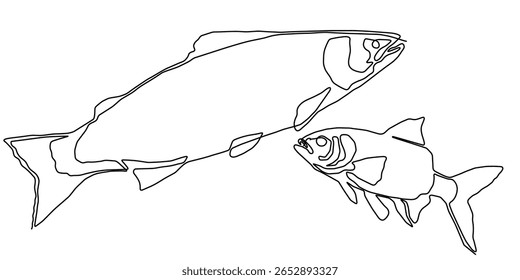 Salmão peixe linha de arte contínua ícone vetor atum desenho truta frutos do mar. Linha peixe de salmão uma mão simples esboço ilustração tipo de água gancho de comida linear mar fin lagoa dia esboço silhueta logotipo oceano.