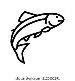 salmon fish line icon vector. salmon fish sign. isolated contour symbol black illustration