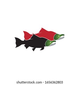 Salmon fish logo design vector on white background