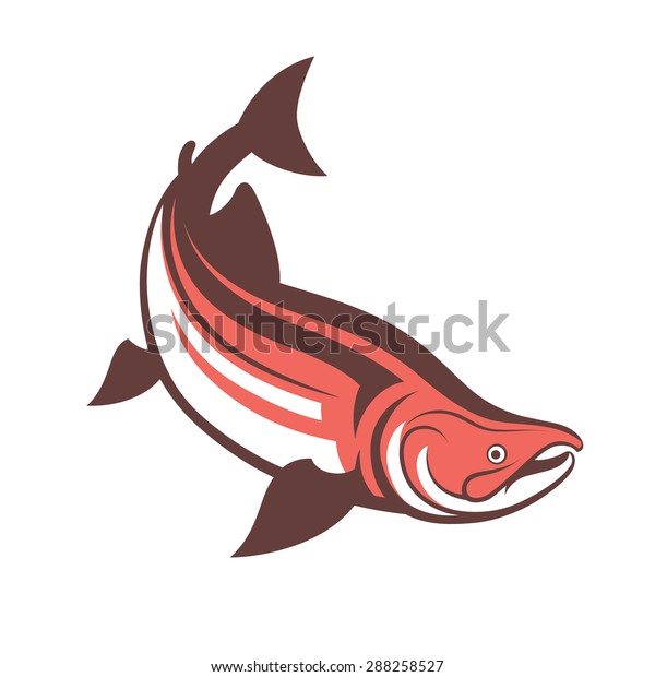 salmon fish logo\
template vector\
illustration