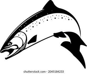 Salmon Fish Logo. Unique and Fresh salmon Jumping Out of the water. Great to use as your salmon fish Company. 