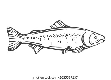 Dibujo de contorno de pescado salmón en estilo doodle dibujado a mano. Croquis monocromo detallado de mariscos populares para recetas, empaques o menús. Ilustración vectorial.