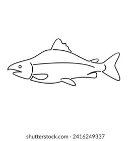 Salmon Fish outline illustration template