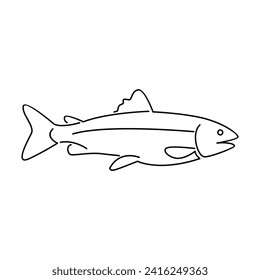 Salmon Fish outline illustration template