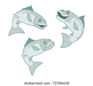 salmon. the fish print on white background. vector