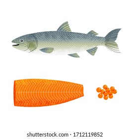 Salmon fish raw steaks and caviar icons set isolated on white background realistic vector illustration