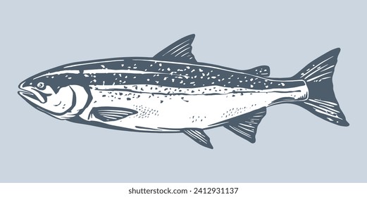 Salmon fish retro line ink sketch. Blue hand drawn vector illustration of fish isolated on white background.