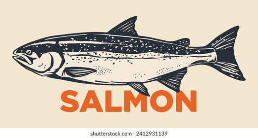 Salmon fish retro line ink sketch. Hand drawn vector illustration of fish isolated.