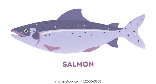 Salmon fish from the sea or ocean. Odea of fishing and seafood. Marine creature. Flat vector illustration