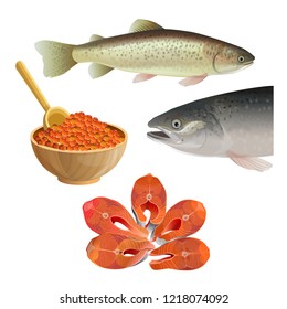 Salmon fish set, steak and caviar, seafood product. Vector illustration isolated on white background