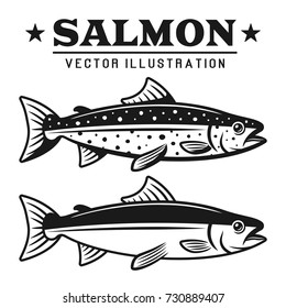 Salmon fish set of two styles vector detailed vintage illustration isolated on white background