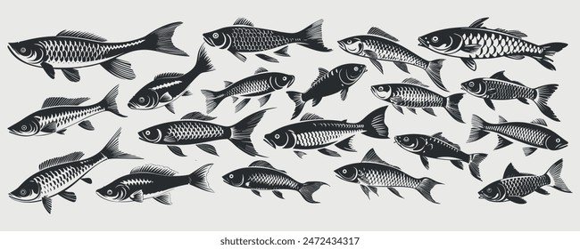 Salmon fish silhouette collection set.Fish vector by hand drawing.Black and white fish vector on white background. vector illustration design