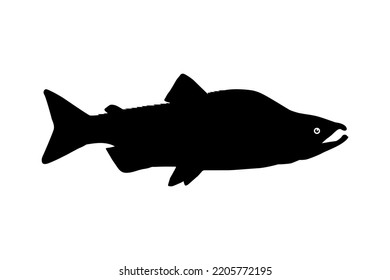 jumping salmon silhouette