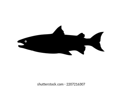 Salmon Fish Silhouette for Icon, Symbol, Logo, Pictogram, Apps, Website or Graphic Design Element. Vector Illustration