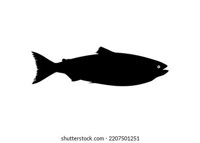 Salmon Fish Silhouette for Icon, Symbol, Logo, Pictogram, Apps, Website or Graphic Design Element. Vector Illustration