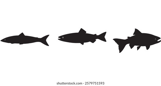 Salmon Fish silhouette in line art style. Fish vector by hand drawing, Fish tattoo on white background, Fish Vector Illustration.