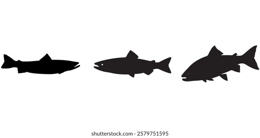 Salmon Fish silhouette in line art style. Fish vector by hand drawing, Fish tattoo on white background, Fish Vector Illustration.