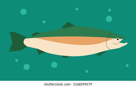 salmon fish simple, colorful vector illustration