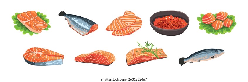 Salmon Fish Slab and Fillet with Red Flesh Vector Set