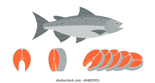 salmon fish and sliced of salmon fillet steak illustration, flat design vector