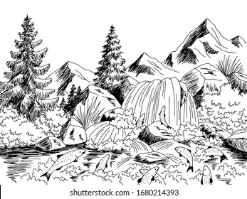 Salmon fish spawning river graphic black white landscape sketch illustration vector