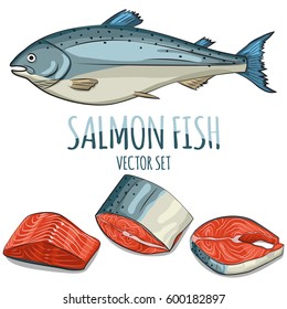 Salmon fish, steak, fillet and slice vector set. Cartoon hand draw illustration isolated on white background. Seafood icons.