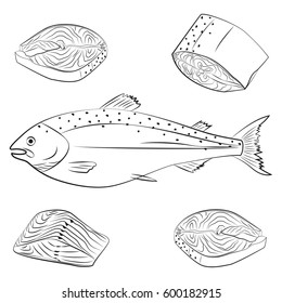 Salmon fish, steak, fillet and slice vector set. Sketch hand draw illustration isolated on white background. Seafood icons.