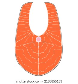 Salmon fish steak. hand drawn illustration isolated on white
