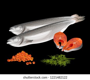 Salmon fish with steaks, red caviar and dill. Vector illustration isolated on black background