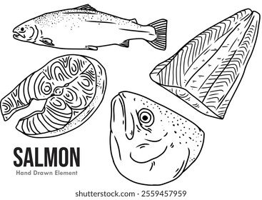 Salmon fish vector black ink hand drawn sketch on white background, pieces of fish flesh, whole fish, and fish Head