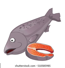 salmon fish vector cartoon illustration
