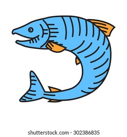 Salmon or fish vector illustration