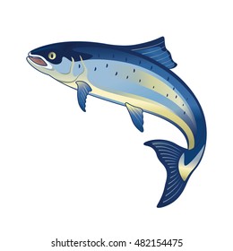Salmon fish vector illustration