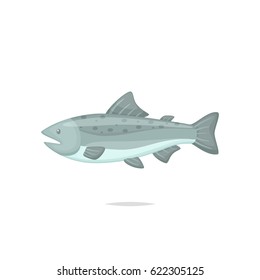 Salmon fish vector illustration