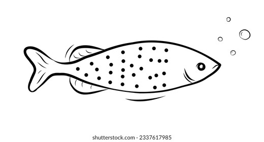 Salmon Fish Vector Illustration in Doodle Style