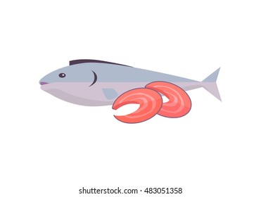 Salmon fish vector Illustration. Flat style design. Fresh seafood concept. Fish with red meat sliced on pieces. 	illustration for grocery shop, market, signboards, menu, logo, icons. 