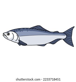 Pescado de salmón, ilustración vectorial aislada en fondo blanco.