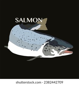 ilustración vectorial del pez salmón con letras en fondo negro
