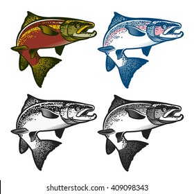 Salmon Fish - Vector Illustration. Logo Template.