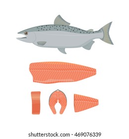 Salmon Fish Vector Illustration. Raw Fish, Slice, Steak, Fillet. Flat Style. 