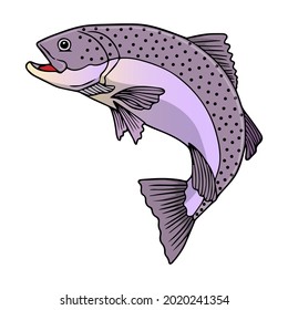 salmon fish vector illustration,isolated on white background,top view