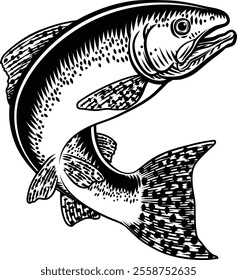 A salmon fish in a vintage antique etched woodcut style, fishing concept.