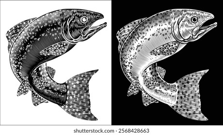 A salmon fish in a vintage antique etched woodcut style, fishing concept.