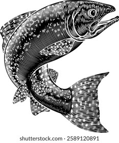 A salmon fish in a vintage antique etched woodcut style, fishing concept.