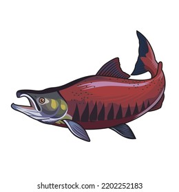 salmon fishing illustration t shirt logo vector image template